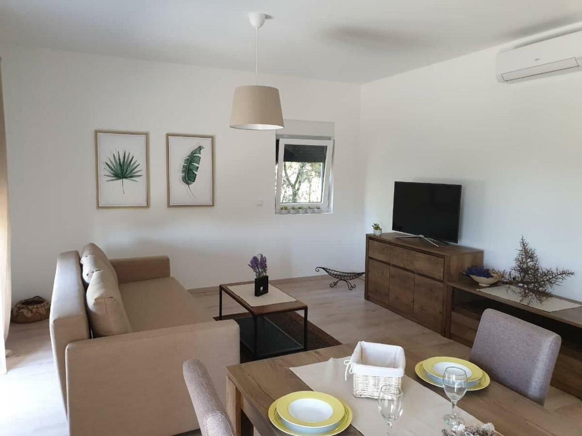 Apartament Atena Zaton 2 Nin Zewnętrze zdjęcie
